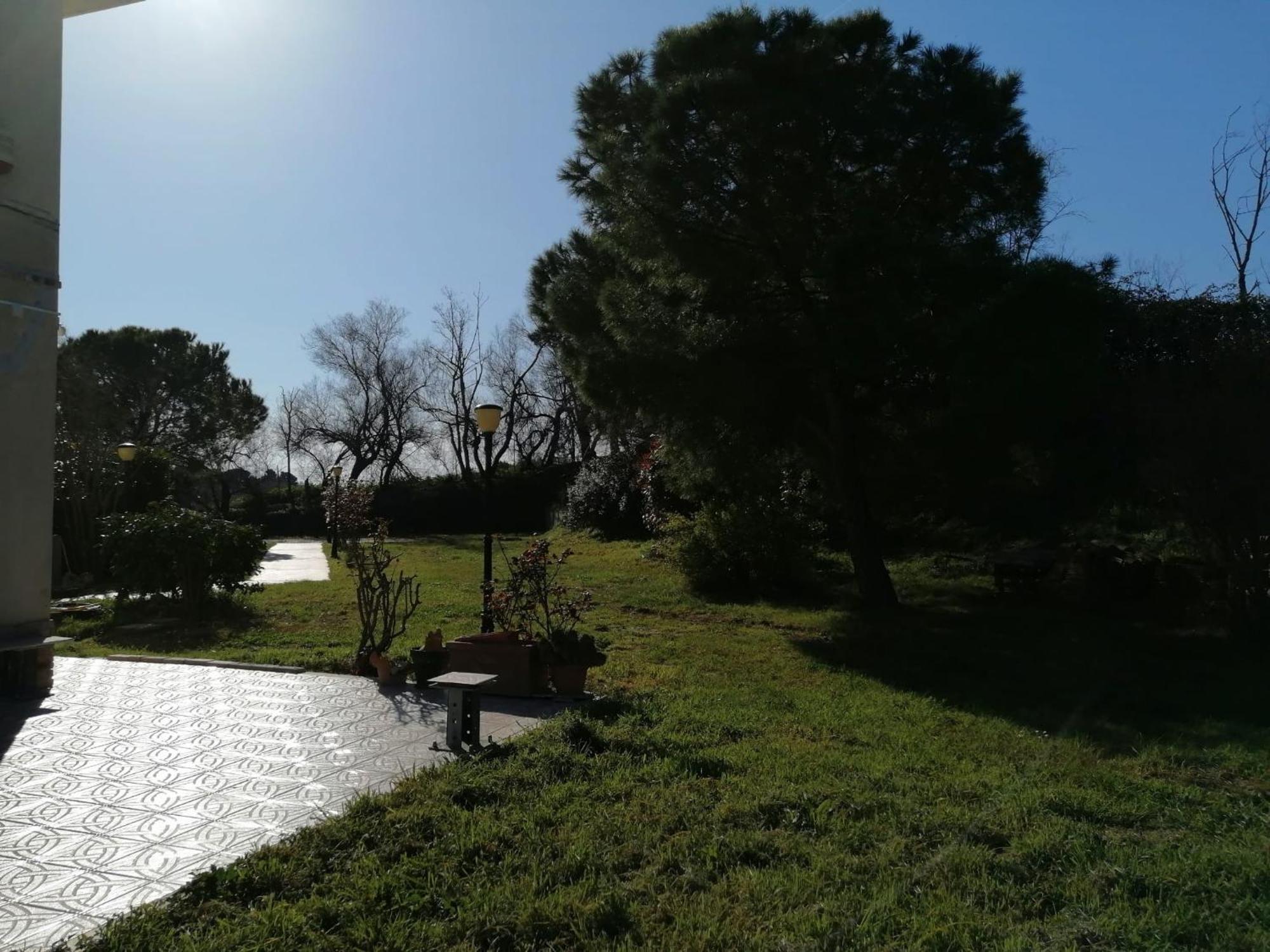 Le Tamerici B&B Ancona Eksteriør bilde